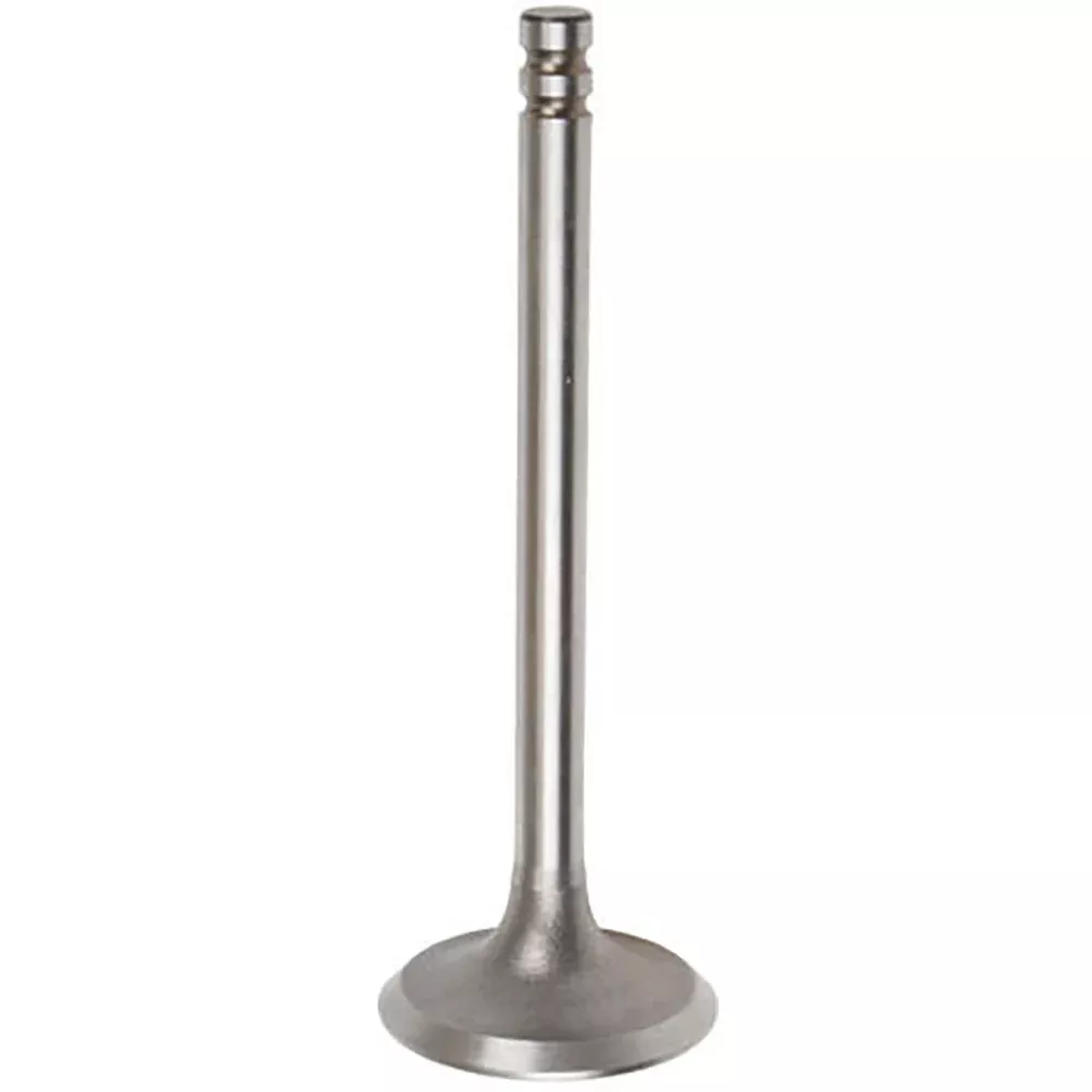 A38422 New Intake Valve Fits Case-IH Tractor Models 310 450 580 350 450B +