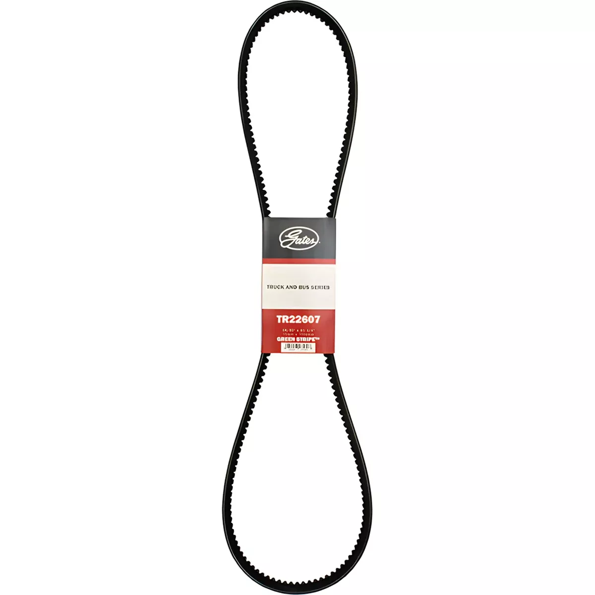 Belt for Case 1030, 2090, 2094, 2290, 2294, 2390 70269183