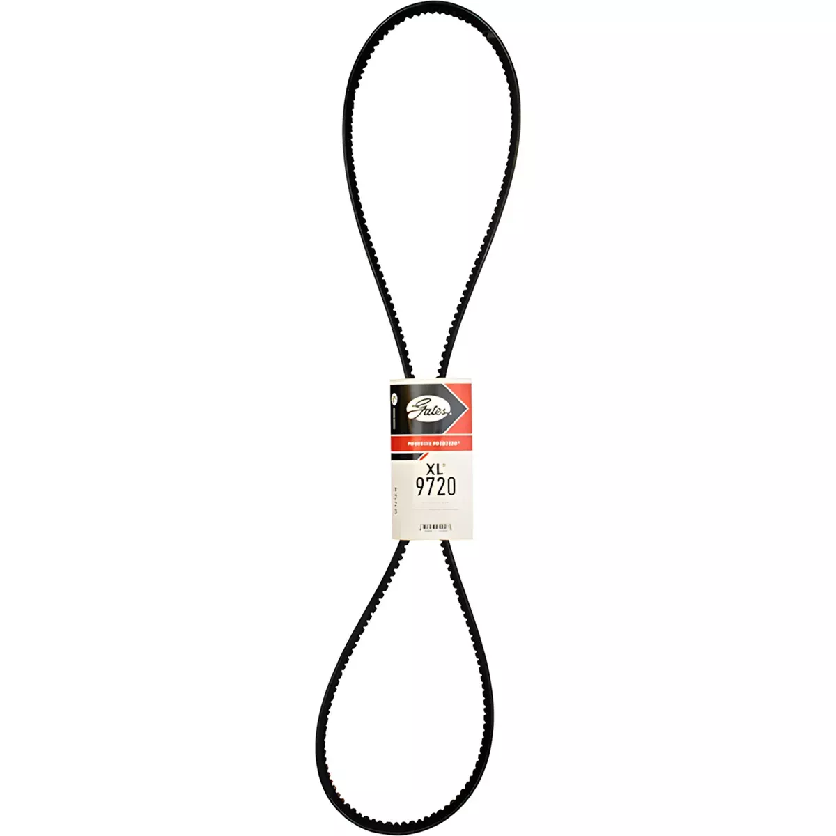 Belt for Case 1070, 1090, 1170, 1175, 1270, 1370 70256417