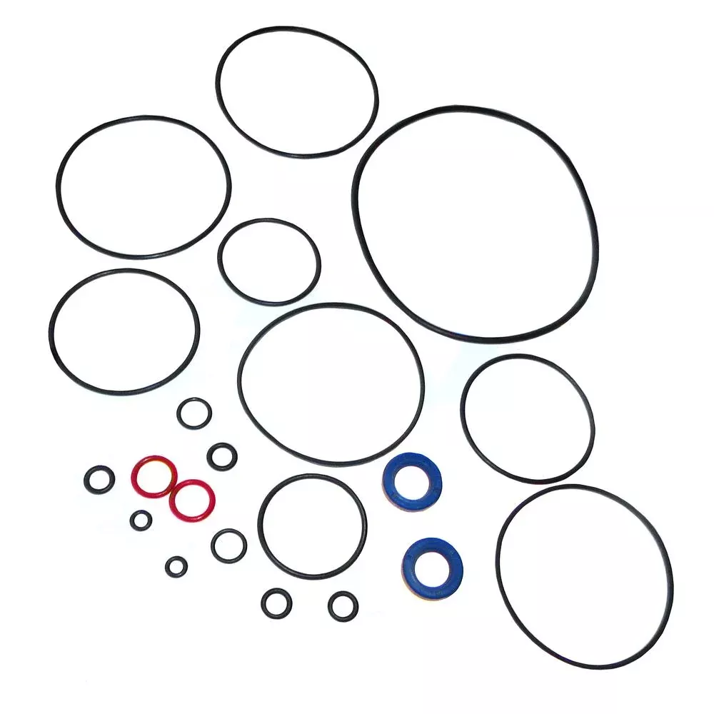 FDS3842 Power Steering Pump Seal Kit Fits Ford