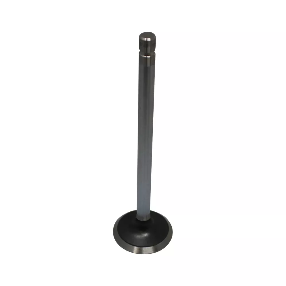 A-R43679-AI Valve, Exhaust (Std)