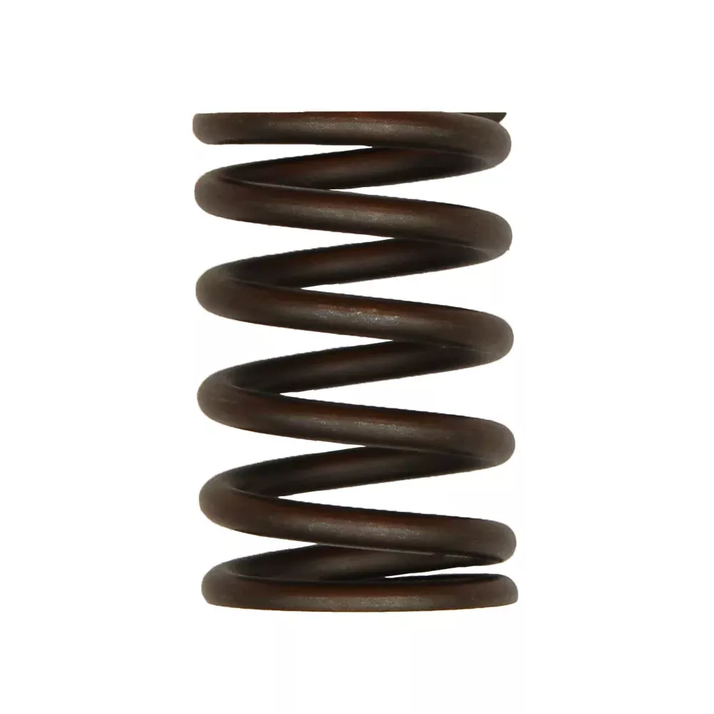 S.65711 Valve Spring - Outer Fits Ford/New Holland