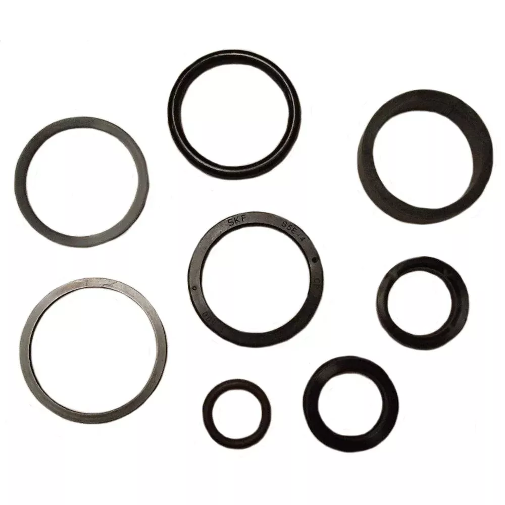SEM D148100 JI Fits Case Replacement seal kit for Backhoe Loader